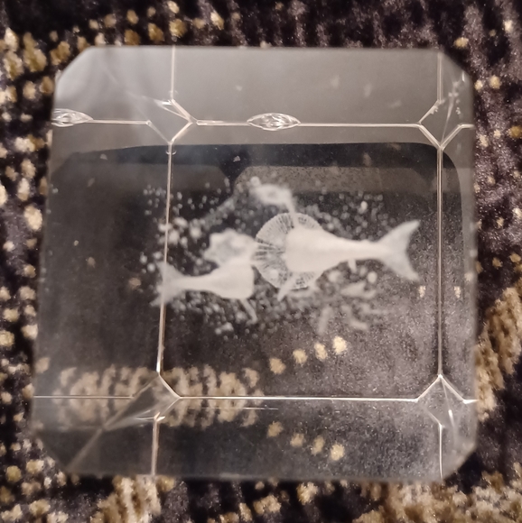 4/$40 Dolphins Playing Ball - 3D Image In a Clear Block/Paperweight - Picture 6 of 7